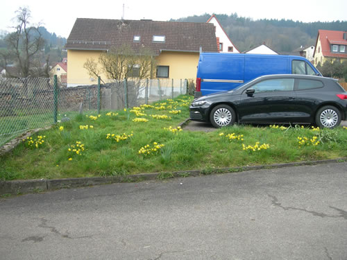 Frühjahrsbepflanzung 2014